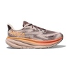 Кроссовки женские HOKA W CLIFTON 9 GTX Cosmic Pearl / Smoky Quartz